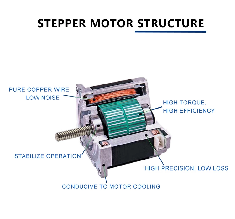 stepper motor structure