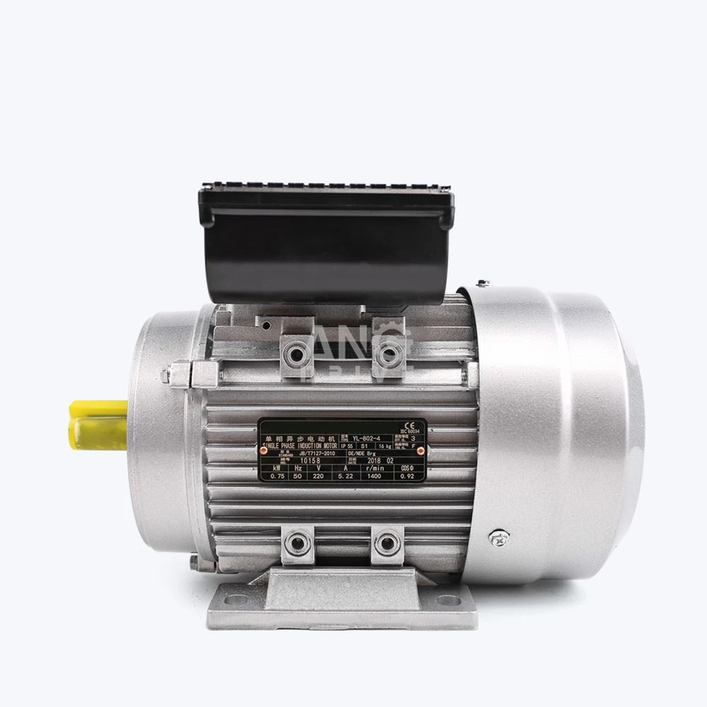 Electronic Motor.jpg