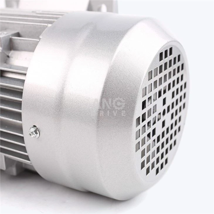 AC Induction Motor