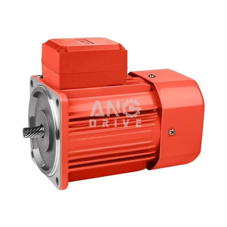 The electric AC gear motor