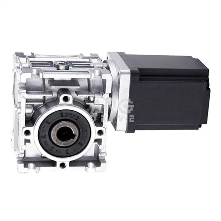 DC brushless worm gear motor