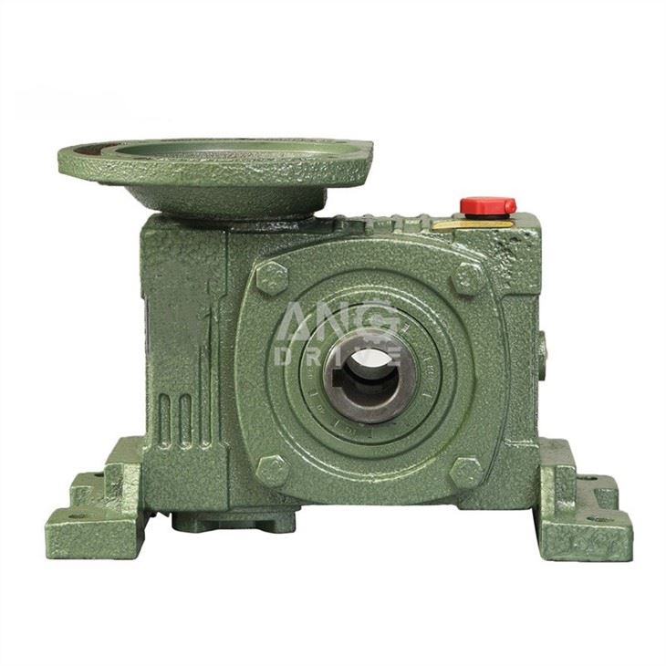 WPWDKT hollow shaft reducer